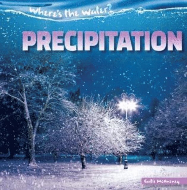 Caitie McAneney - Precipitation, E-bok. Tillgänglighet: Lägg i varukorg