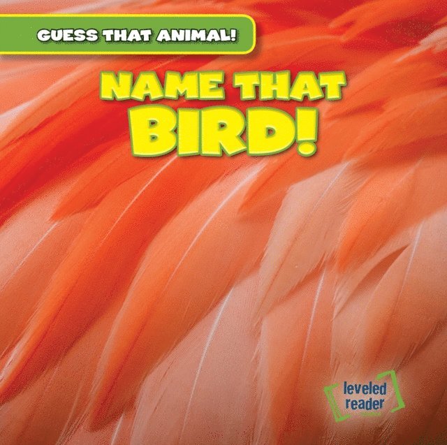 Demi Jackson - Name That Bird!, E-bok. Tillgänglighet: Lägg i varukorg