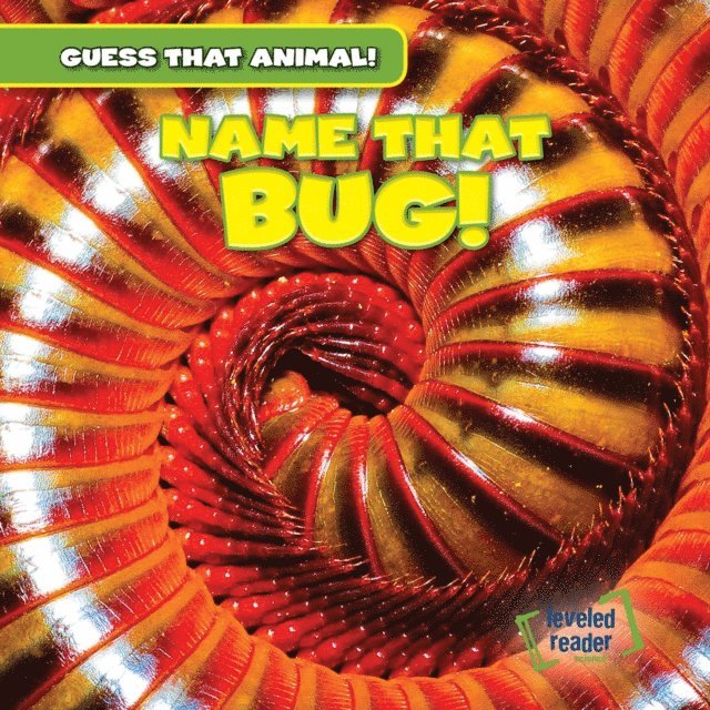 Demi Jackson - Name That Bug!, E-bok. Tillgänglighet: Lägg i varukorg