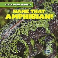 Demi Jackson - Name That Amphibian!, Häftad. Tillgänglighet: Tillfälligt slut
