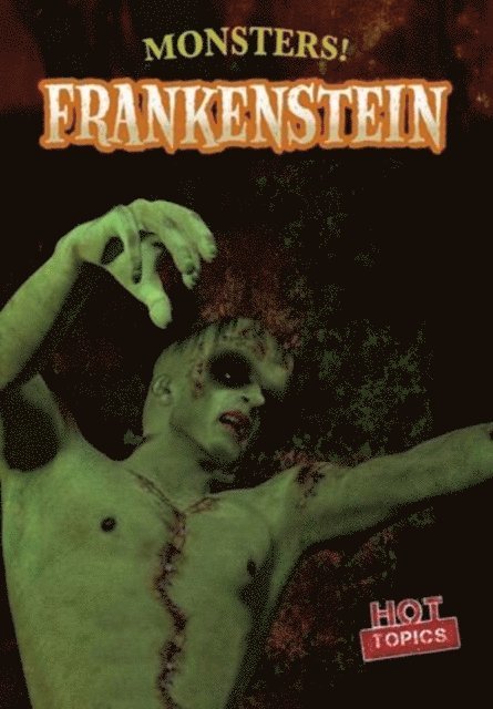 Frances Nagle - Frankenstein, E-bok