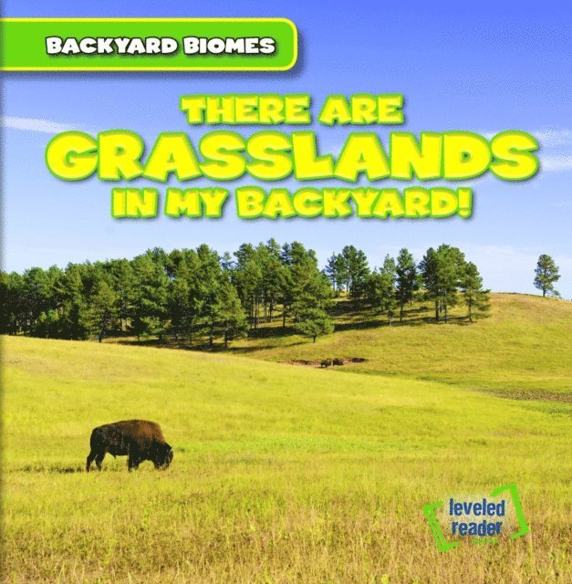 Walter LaPlante - There Are Grasslands in My Backyard!, E-bok. Tillgänglighet: Lägg i varukorg