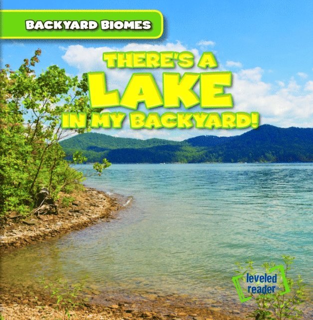 Seth Lynch - There's a Lake in My Backyard!, E-bok