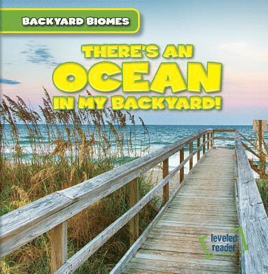Seth Lynch - There's an Ocean in My Backyard!, Häftad