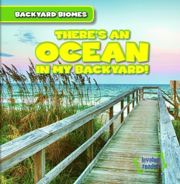 Seth Lynch - There's an Ocean in My Backyard!, E-bok