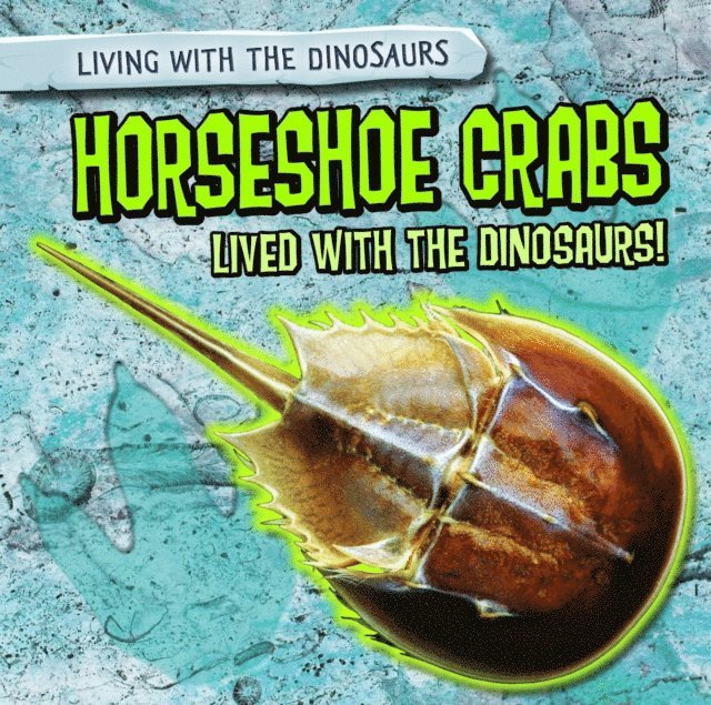 Horseshoe Crabs Lived with the Dinosaurs!