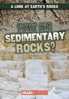 Frances Nagle - What Are Sedimentary Rocks?, Häftad