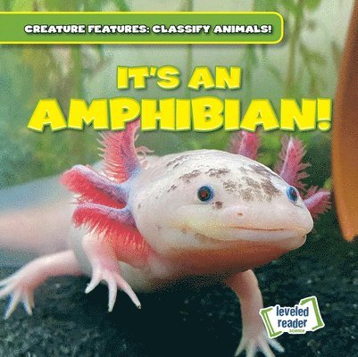Natalie Humphrey - It's an Amphibian!, Inbunden. Tillgänglighet: Lägg i varukorg