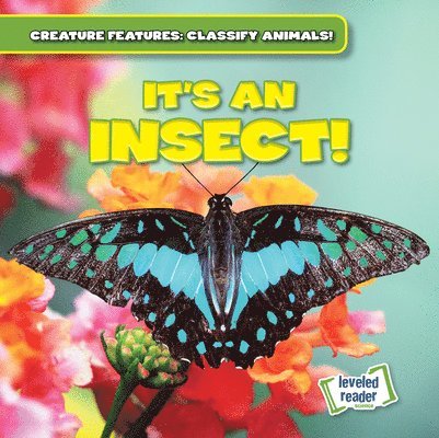 Natalie Humphrey - It's an Insect!, Inbunden. Tillgänglighet: Lägg i varukorg