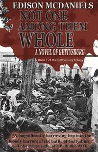 Edison McDaniels - Not One Among Them Whole: A Novel of Gettysburg, Häftad. Tillgänglighet: Lägg i varukorg