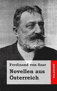 Ferdinand Von Saar - Novellen aus Österreich, Häftad