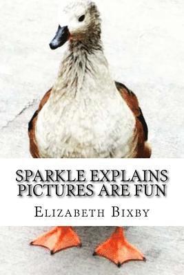 Elizabeth a. Bixby - Sparkle Explains Pictures Are Fun, Häftad. Tillgänglighet: Lägg i varukorg