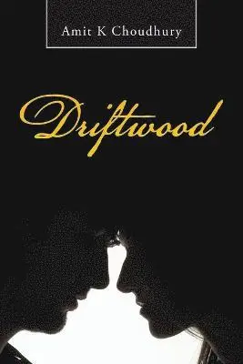 Amit K Choudhury - Driftwood, Häftad. Tillgänglighet: Lägg i varukorg