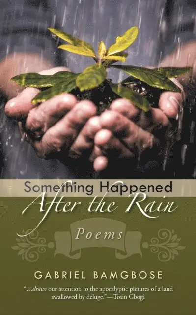 Gabriel Bamgbose - Something Happened After the Rain, E-bok. Tillgänglighet: Lägg i varukorg