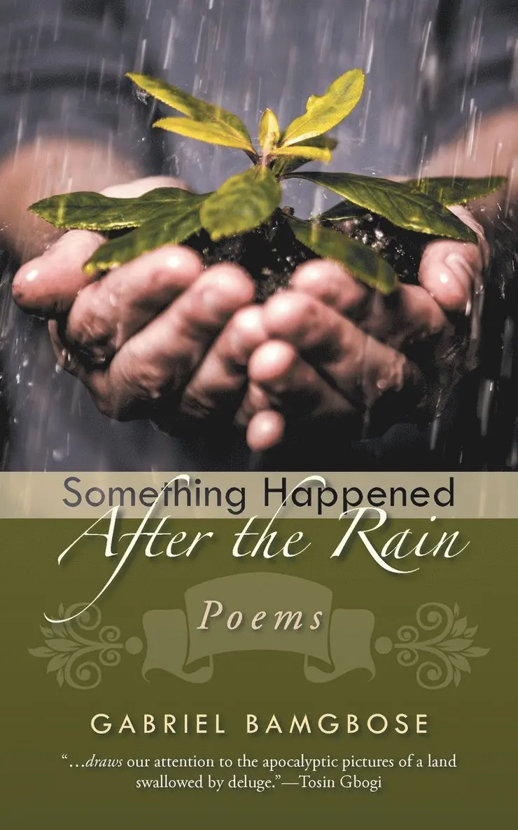 Gabriel Bamgbose - Something Happened After the Rain, Häftad. Tillgänglighet: Lägg i varukorg