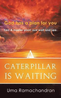 Caterpillar Is Waiting
