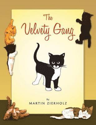 Martin Zierholz - Velvety Gang, Häftad. Tillgänglighet: Lägg i varukorg