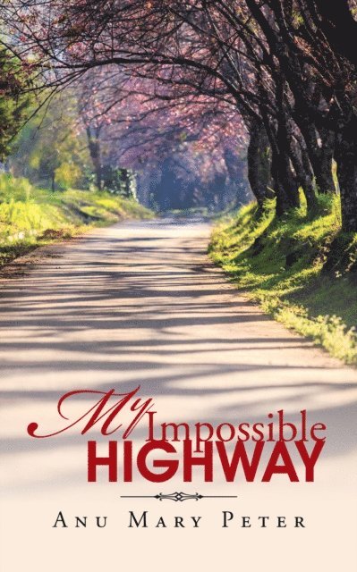 Anu Mary Peter - My Impossible Highway, E-bok