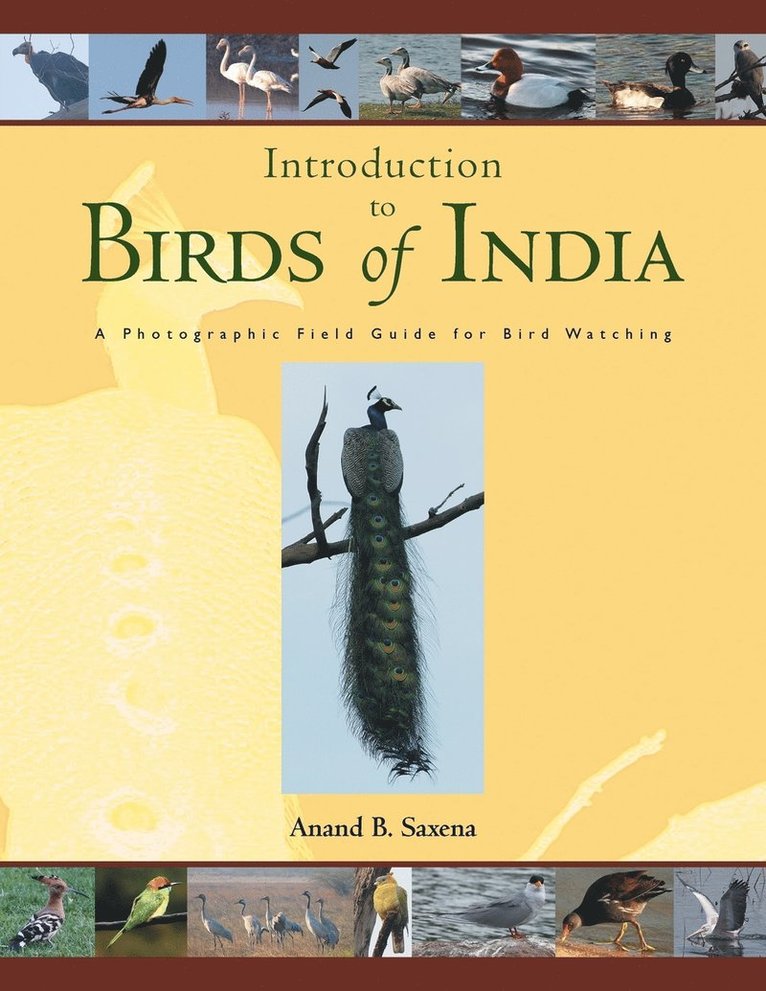 Anand - Birds of India, Häftad