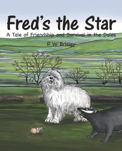 P W Brisley - Fred'S the Star, E-bok