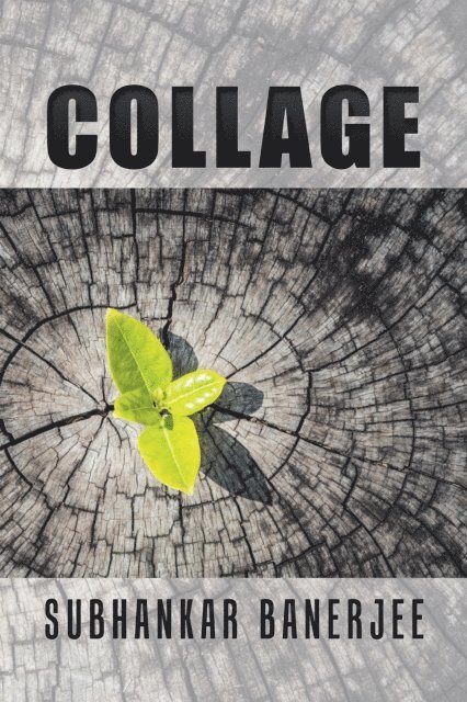 Subhankar Banerjee - Collage, E-bok