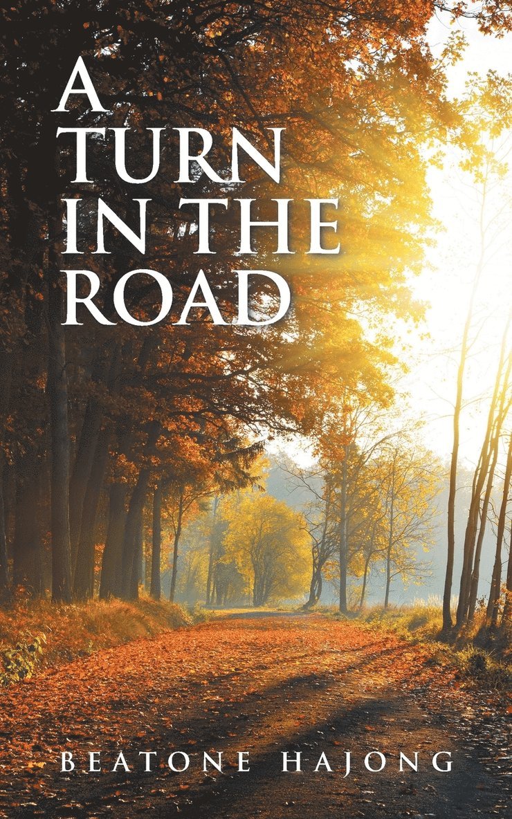 Beatone Hajong - Turn in the Road, Häftad