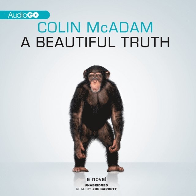 Colin McAdam - Beautiful Truth, Ljudbok