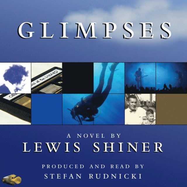 Lewis Shiner - Glimpses, Ljudbok