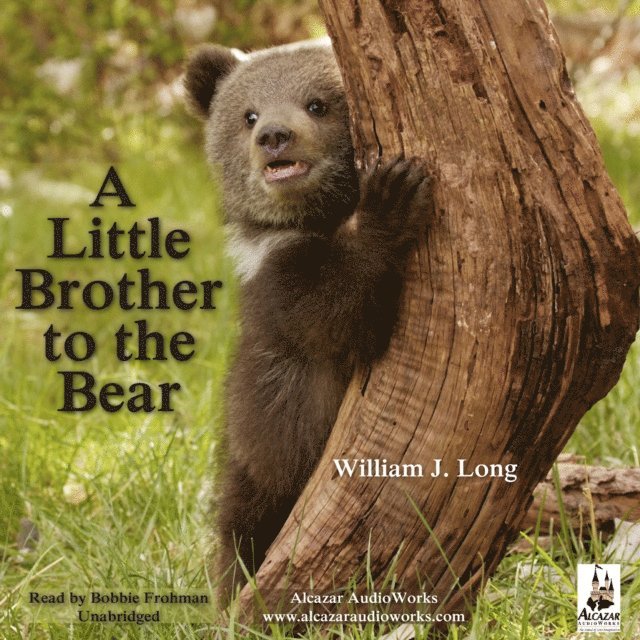 William J. Long - Little Brother to the Bear, and Other Animal Stories, Ljudbok