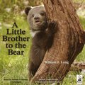 Little Brother to the Bear, and Other Animal Stories