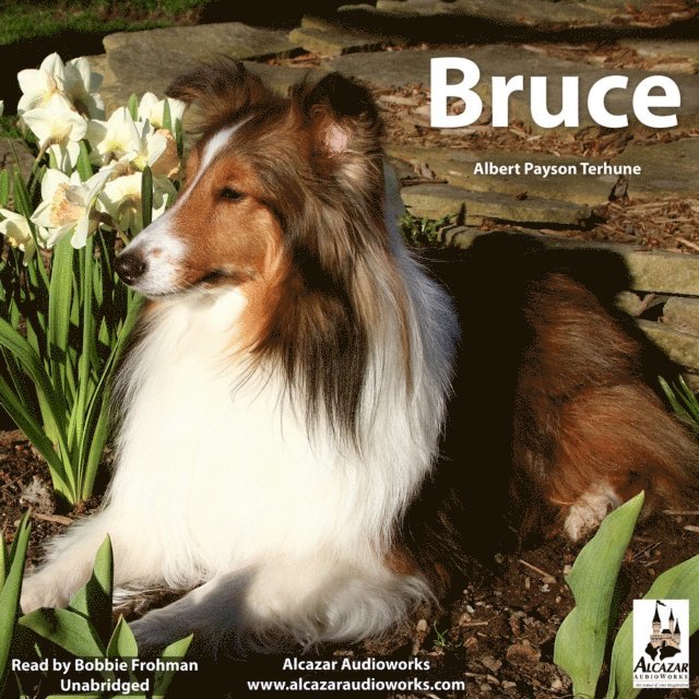 Albert Payson Terhune - Bruce, Ljudbok