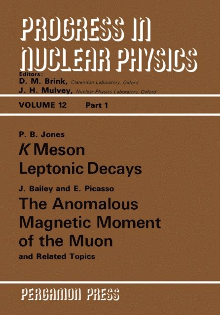P. B. Jones, E. Picasso, J. Bailey, J. H. Mulvey, D. M. Brink - K Meson Leptonic Decays, E-bok
