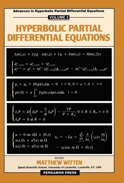Matthew Witten - Hyperbolic Partial Differential Equations, E-bok