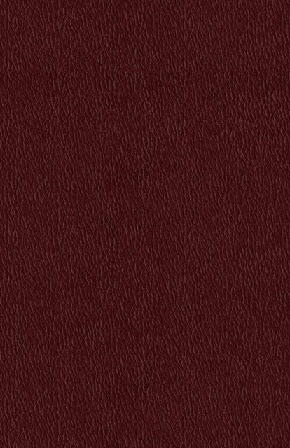 C. M. Nicholls, W. H. Denton, R. B. Scott - Technology and Uses of Liquid Hydrogen, E-bok