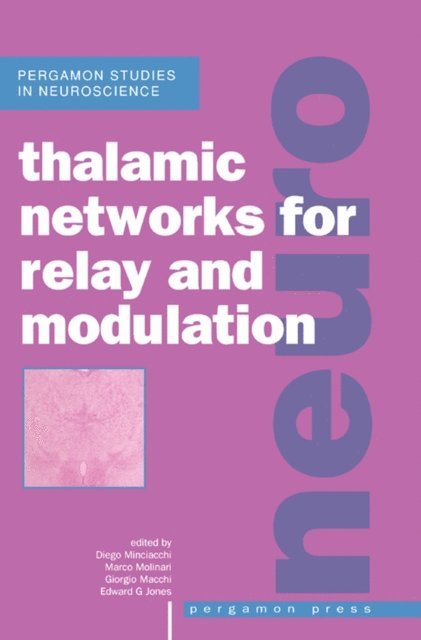 Giorgio Macchi, Marco Molinari, Diego Minciacchi - Thalamic Networks for Relay and Modulation, E-bok