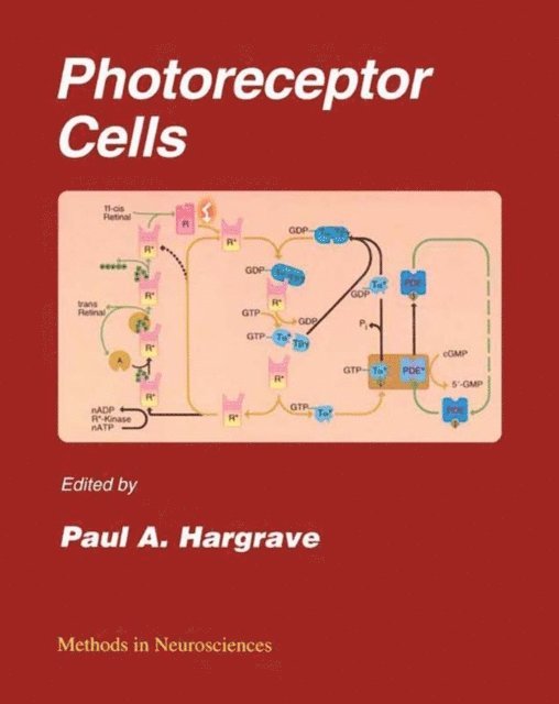 Paul A. Hargrave - Photoreceptor Cells, E-bok