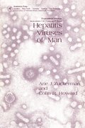 Hepatitis Viruses of Man