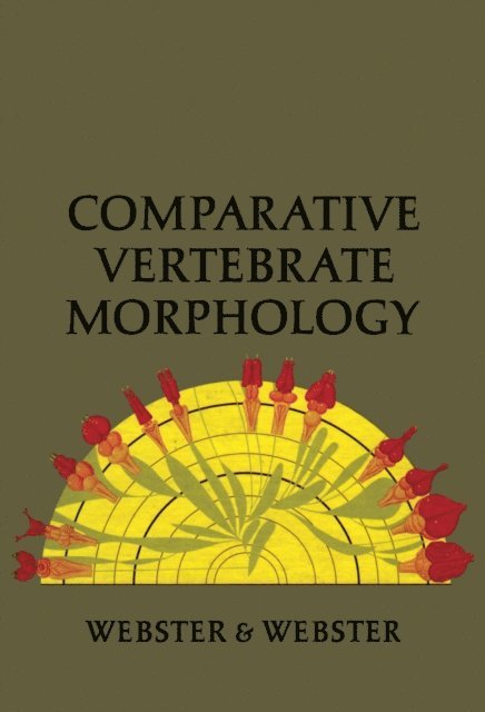 Molly Webster, Douglas Webster - Comparative Vertebrate Morphology, E-bok