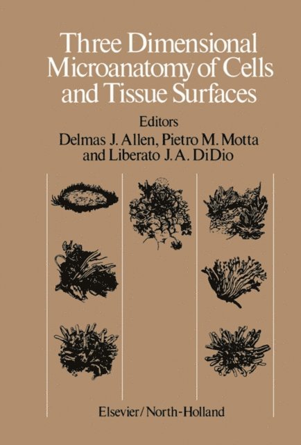 Liberato J. A. DiDio, Pietro M. Motta, Delmas J. Allen - Three Dimensional Microanatomy of Cells and Tissue Surfaces, E-bok