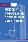 Functional Organisation of the Human Visual Cortex