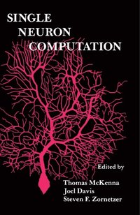 Single Neuron Computation