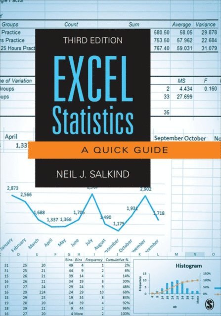 Neil J. Salkind - Excel Statistics, E-bok