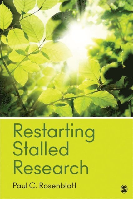 Paul C. Rosenblatt - Restarting Stalled Research, E-bok