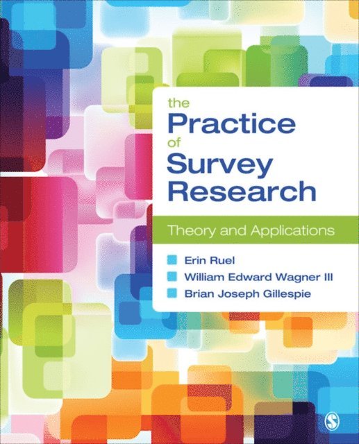 Brian Joseph Gillespie, William E. Wagner-Huang, Erin Ruel - Practice of Survey Research, E-bok