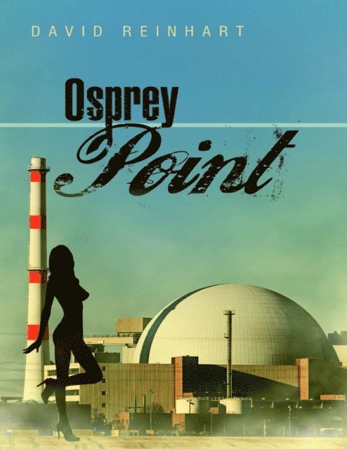David Reinhart - Osprey Point, E-bok