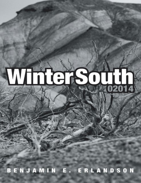 Benjamin E. Erlandson - Winter South 02014, E-bok