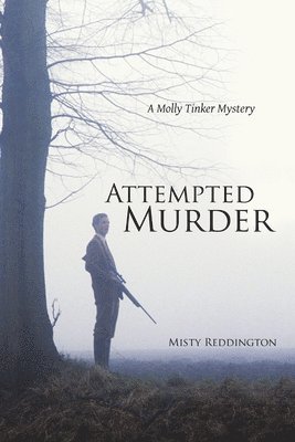 Misty Reddington - Attempted Murder, Häftad