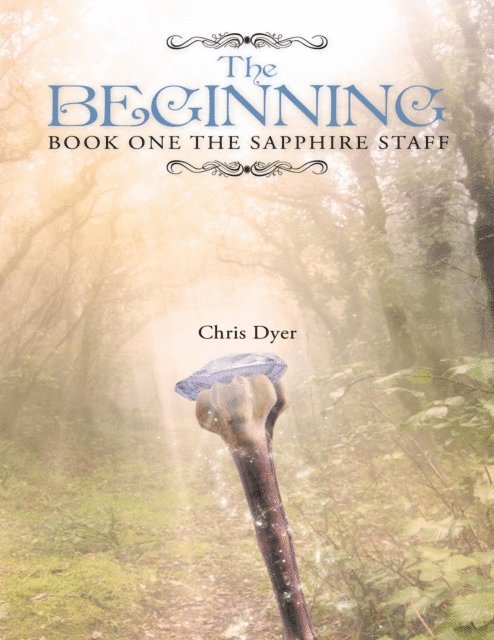 Chris Dyer - Beginning: Book One of the Sapphire Staff, E-bok