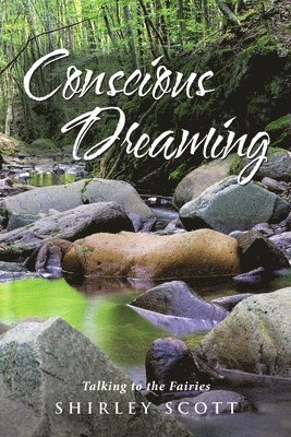 Conscious Dreaming