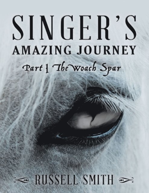 Russell Smith - Singer's Amazing Journey: Part I the Woach Spar, E-bok